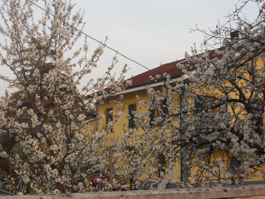 B&B Pervinca Rocca Grimalda Kültér fotó