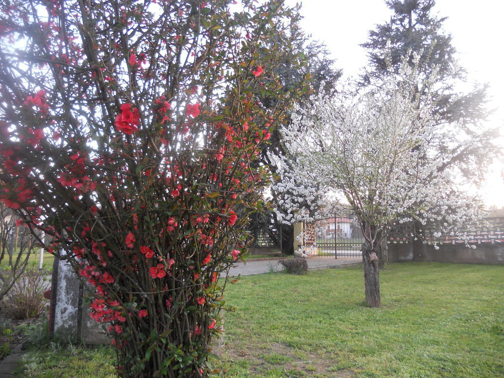 B&B Pervinca Rocca Grimalda Kültér fotó