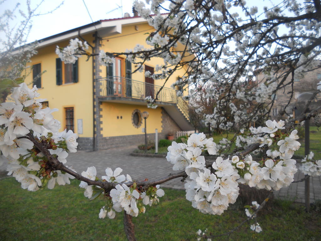 B&B Pervinca Rocca Grimalda Kültér fotó